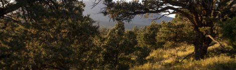 Issue 57 Out / With Contest Winners!